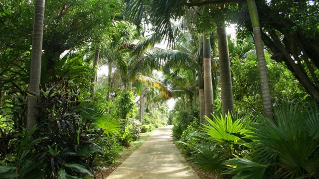 東南植物楽園