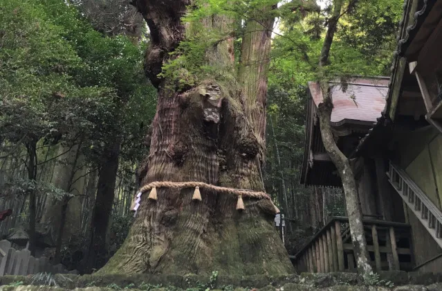 PeachTravelで行く北海道温泉｜定山渓温泉・定山源泉公園