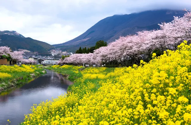 PeachTravelで行く北海道温泉｜定山渓温泉・サッポロピリカコタン