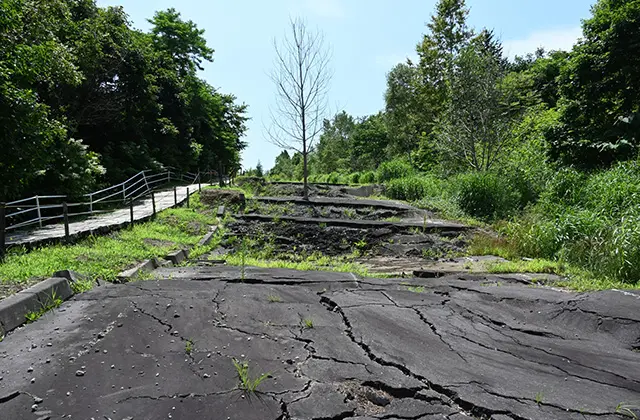 PeachTravelで行く北海道温泉｜洞爺湖温泉・西山山麓火口散策路