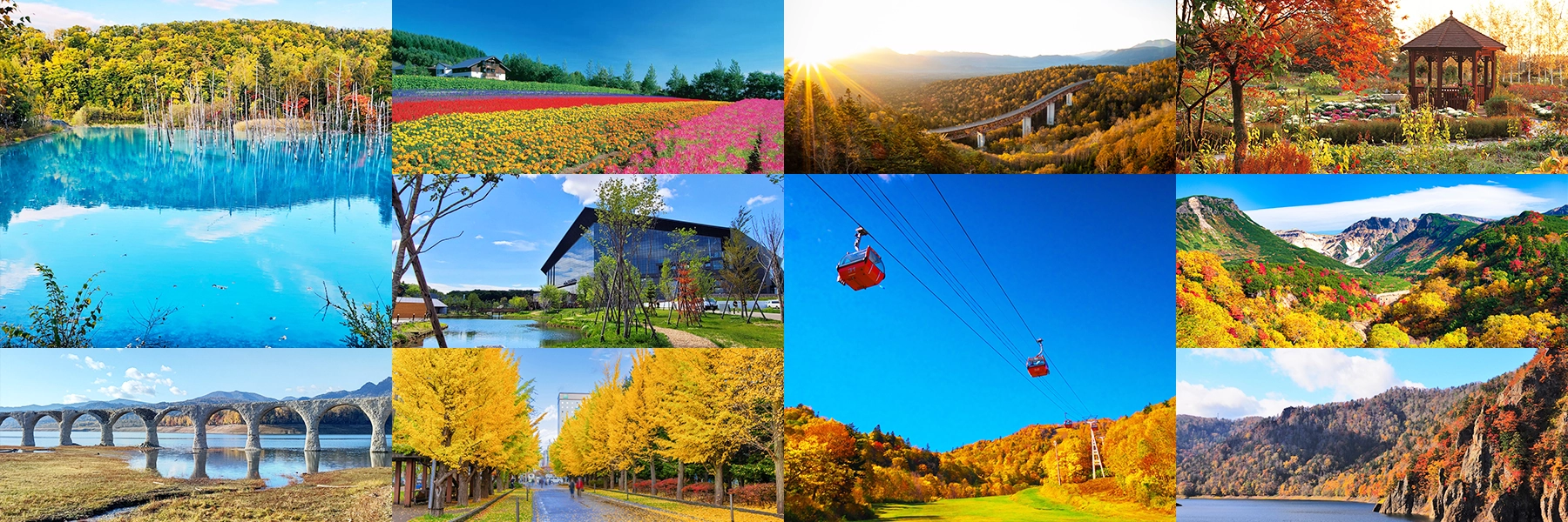 添乗員同行！バスで巡る！秋の北海道周遊ツアー｜PeachTravel