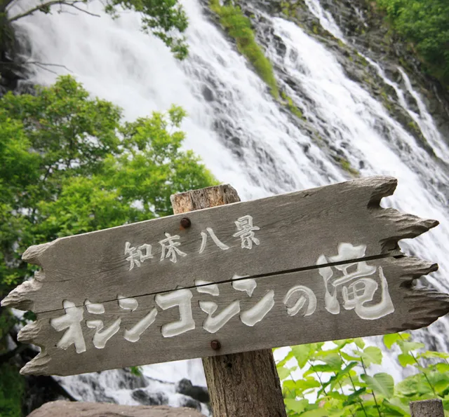 社員旅行革命｜北海道・オシンコシンの滝