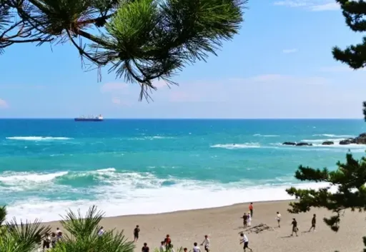 桂浜_大平洋をのぞむ絶景の浜辺