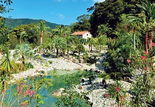 北川村「モネの庭」マルモッタン_ボルディゲラの庭