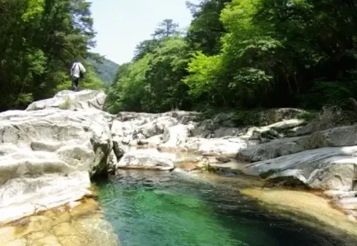 面河渓_遊歩道からも川底が見えるほど