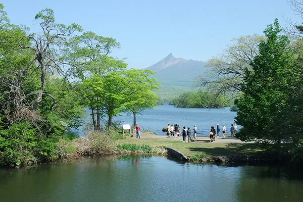 大沼公園