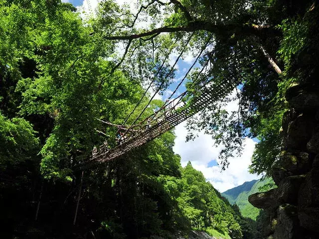 祖谷のかずら橋