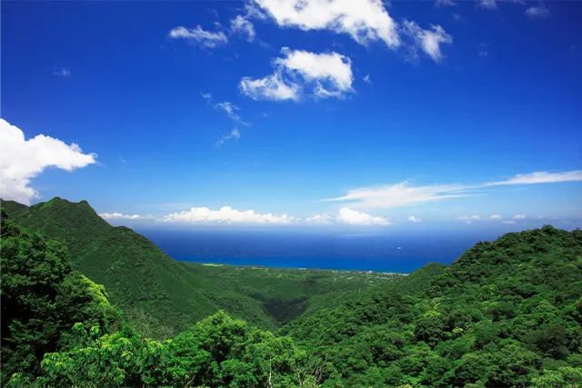 屋久島おすすめ記事イメージ