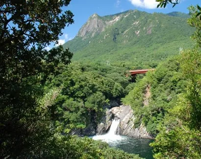 モッチョム岳｜屋久島ツアー・旅行はしろくまツアー