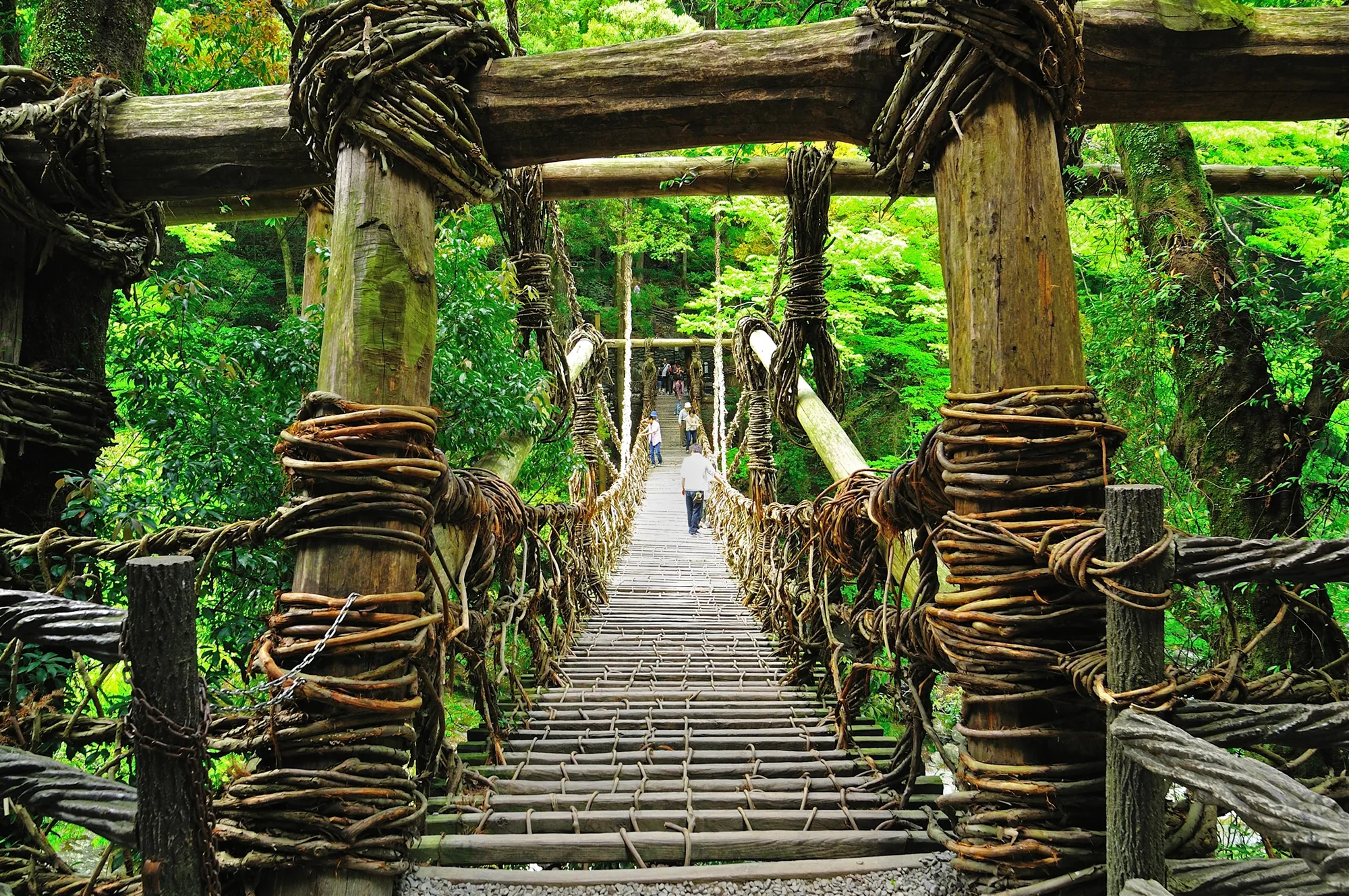 四国｜祖谷のかずら橋