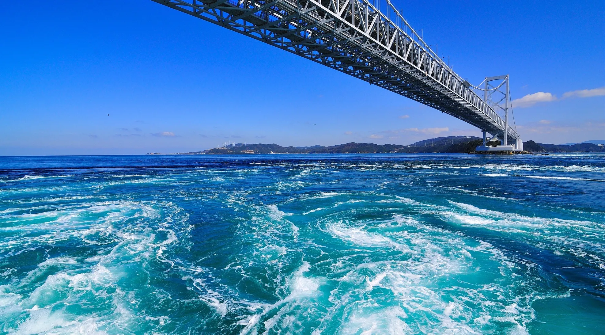 徳島旅行はしろくまツアーWBF