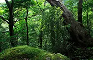 旅のテーマから探す世界遺産を巡る旅